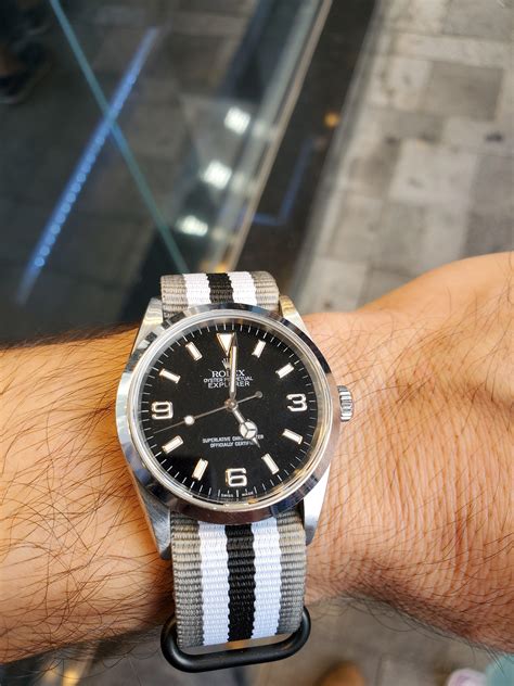 rolex explorer nato.